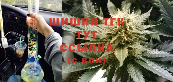 тгк Армянск