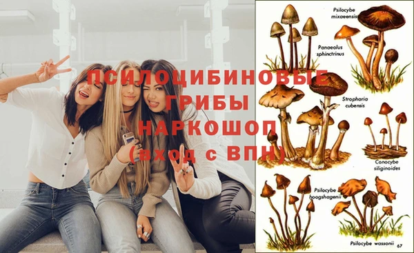 а пвп мука Арсеньев
